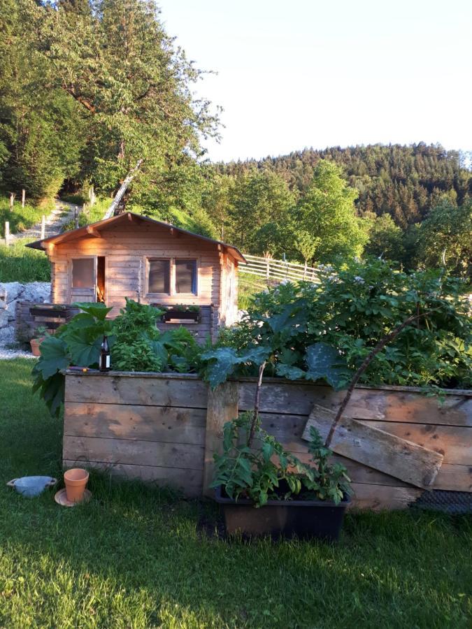 Landhaus Ziegelstadel Windischgarsten Luaran gambar